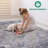 5' X 7' Traditional Area Rug-1799536214