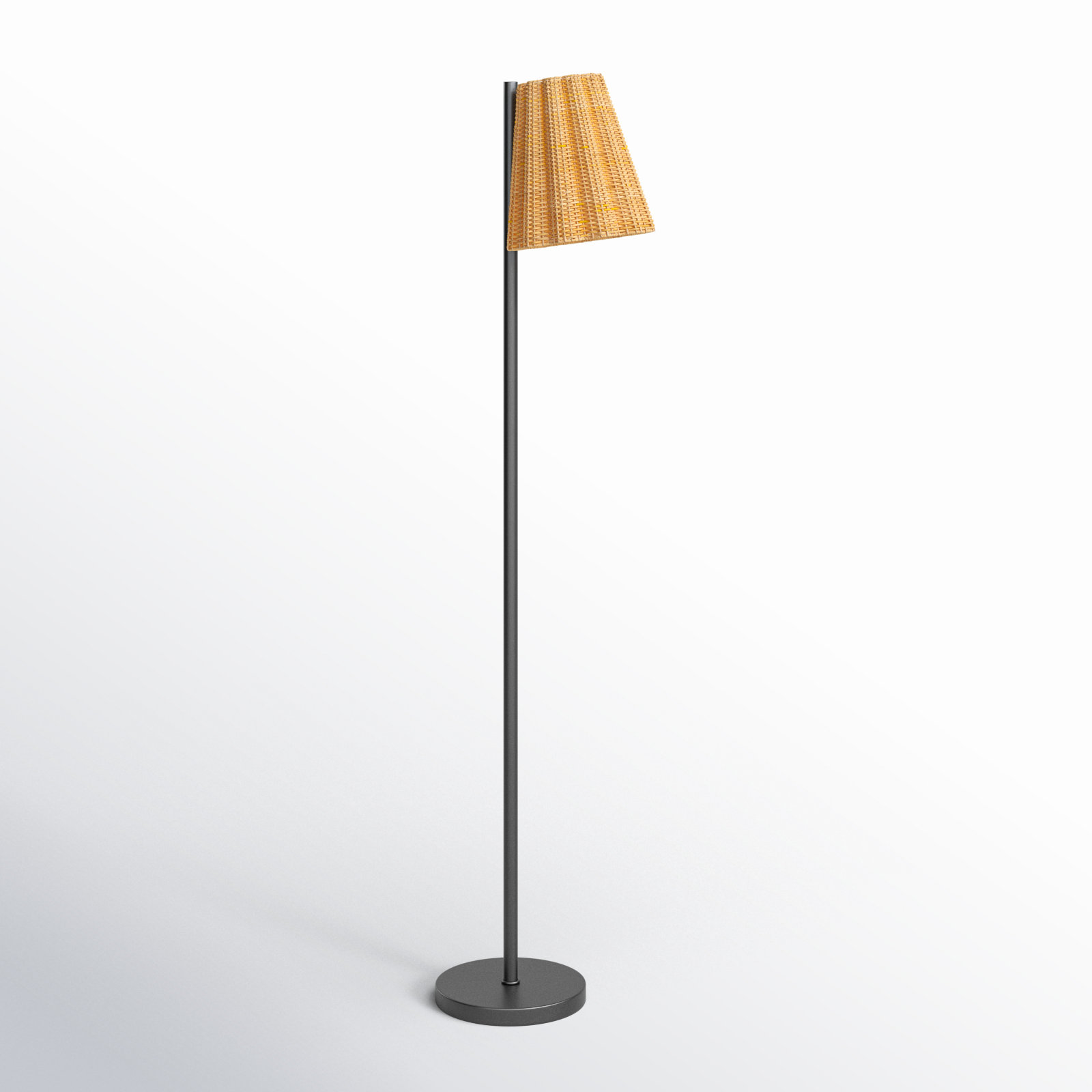Vincente Cane and Iron Floor Lamp