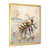 Gold Picture Framed