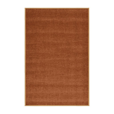 Machine Washable Solid Brown Area Rug