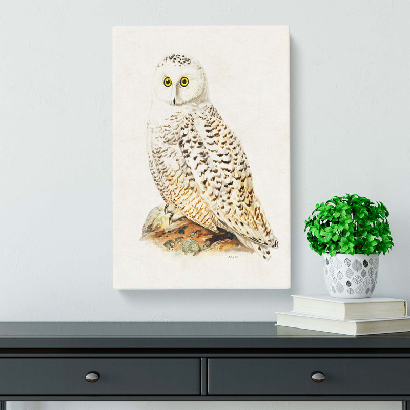 Snowy Owl - Wrapped Canvas, 50cm H x 35cm W x 3cm D