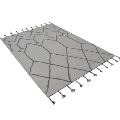 Trumbull Geometric Hand Woven Area Rug