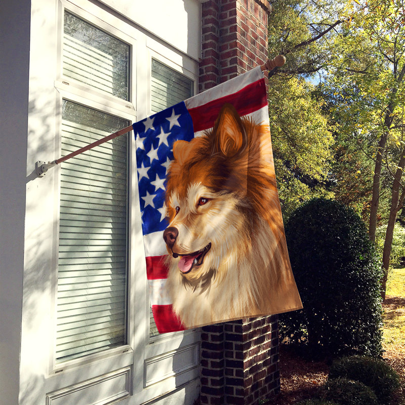 Polyester à 2 côtés 28 x 40 po drapeau maison, Chien finnois de Laponie