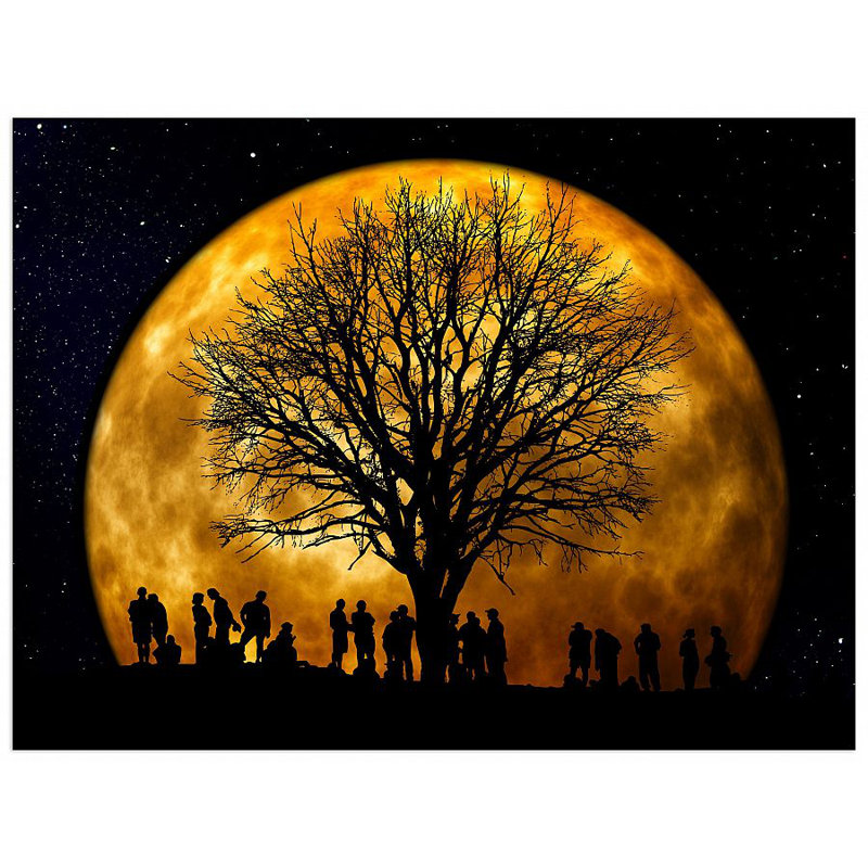 Wrapped Canvas Print, 90cm H x 120cm W x 1.8cm D