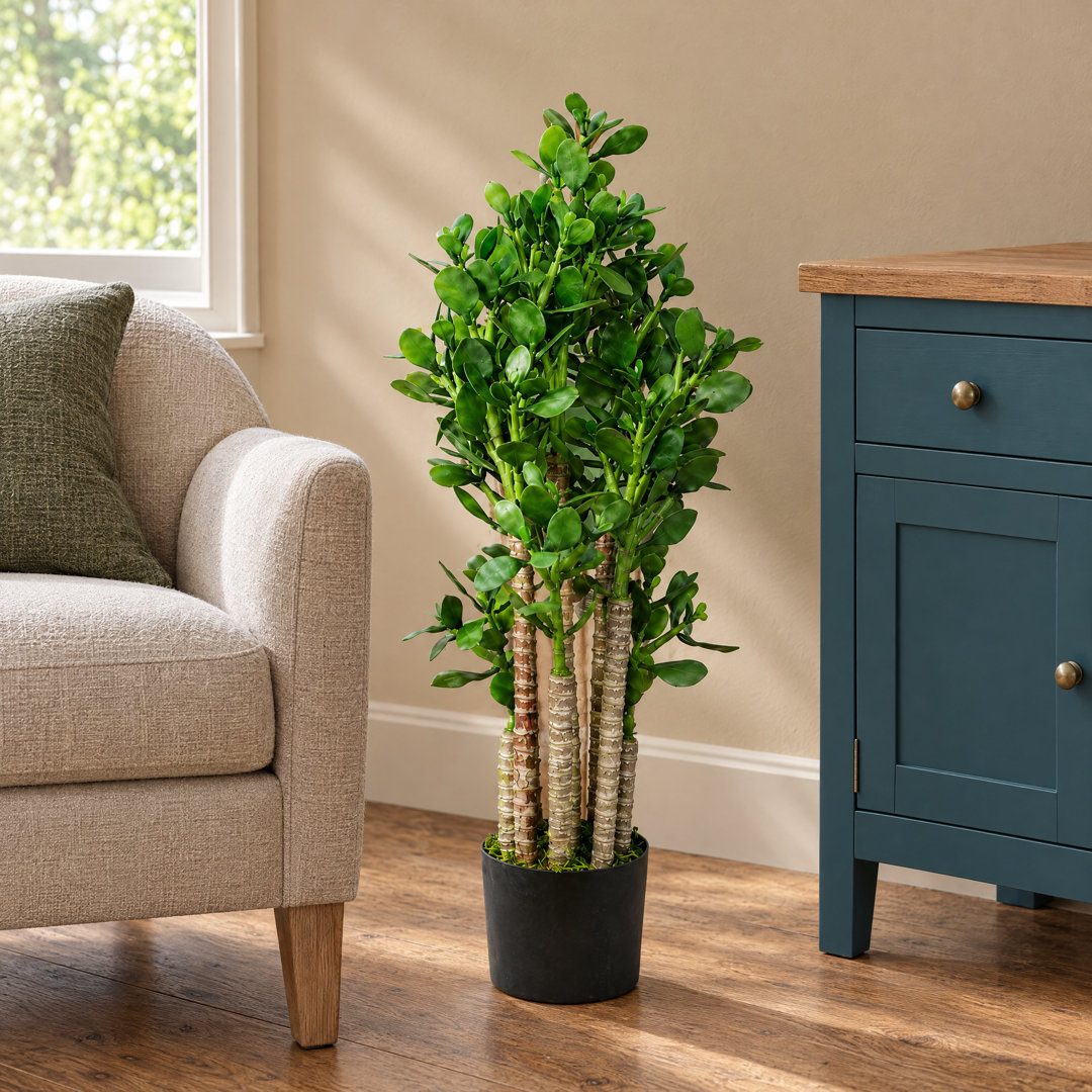 75cm Artificial Jade Plant Realistic Potted Indoor Home Office Decor Faux Green - Image 5