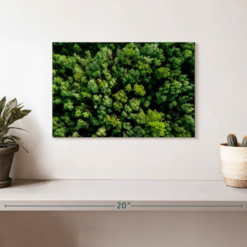 Alvord Lush Green Woodland, H 8 po x l 12 po