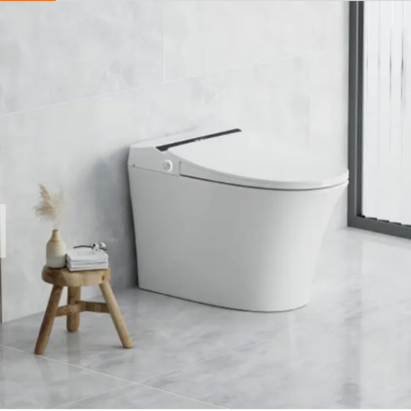 Toilette une pièce sans réservoir Smart Washlet