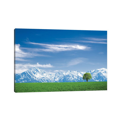 Luboten by Bess Hamiti - Wrapped Canvas Gallery-Wrapped Canvas Giclée