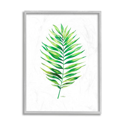 Palmier vert minimaliste plante tropicale sur fond blanc