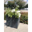 Pot à fleurs carré en ciment 12 po avec trous de drainage pour l'intérieur et l'extérieur-33045138-33045136
