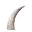 3 Piece Variegated Horn Sculpture Set