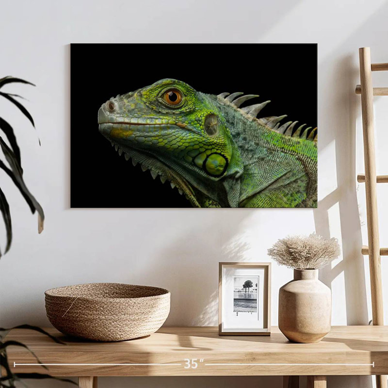 Tête d'iguane vert Brampt, H 16 po x l 24 po
