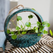 Wayfair  Ceramic Planters You'll Love in 2024