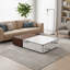 Table basse de style moderne (style noyer), comprenant deux espaces de rangement, une esthétique équilibrée et un rangement quotidien