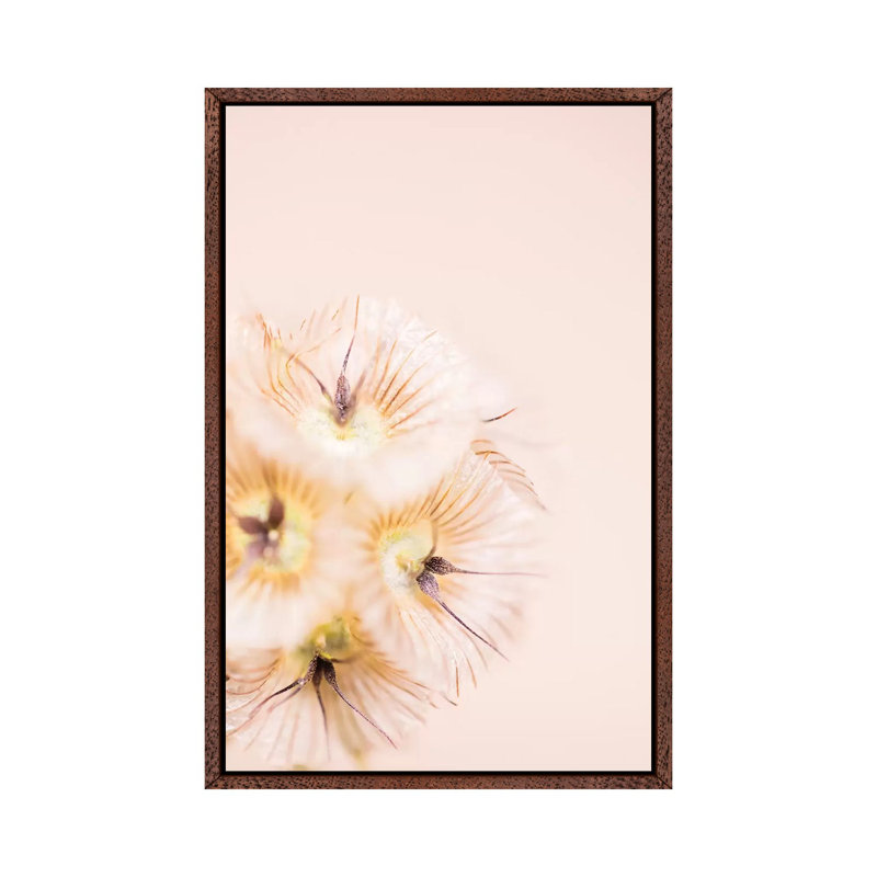 Bleach Blonde III 1 Piece Wall Art on Canvas, 101.6 cm H x 66.04 cm W, Classic Wood Framed