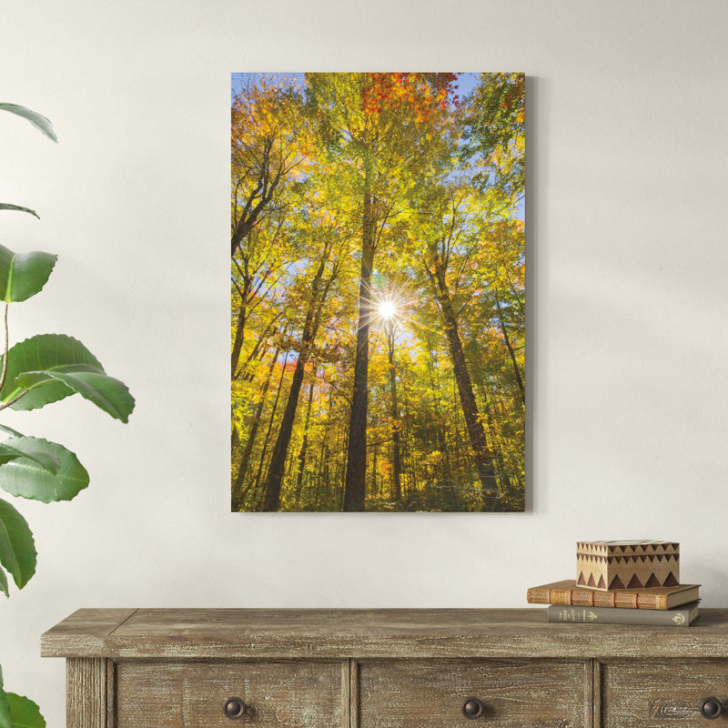 Feuillage d'automne Sunburst III, H 36 po x l 24 po