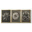 «Blossfeldt Flower I», ensemble de 3 impressions sur toile encadrées-1488156597-1488156593