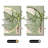 White, Green Rectangular Manufactured Wood Wall art