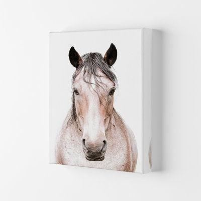 Horse by Victoria Frost - Print