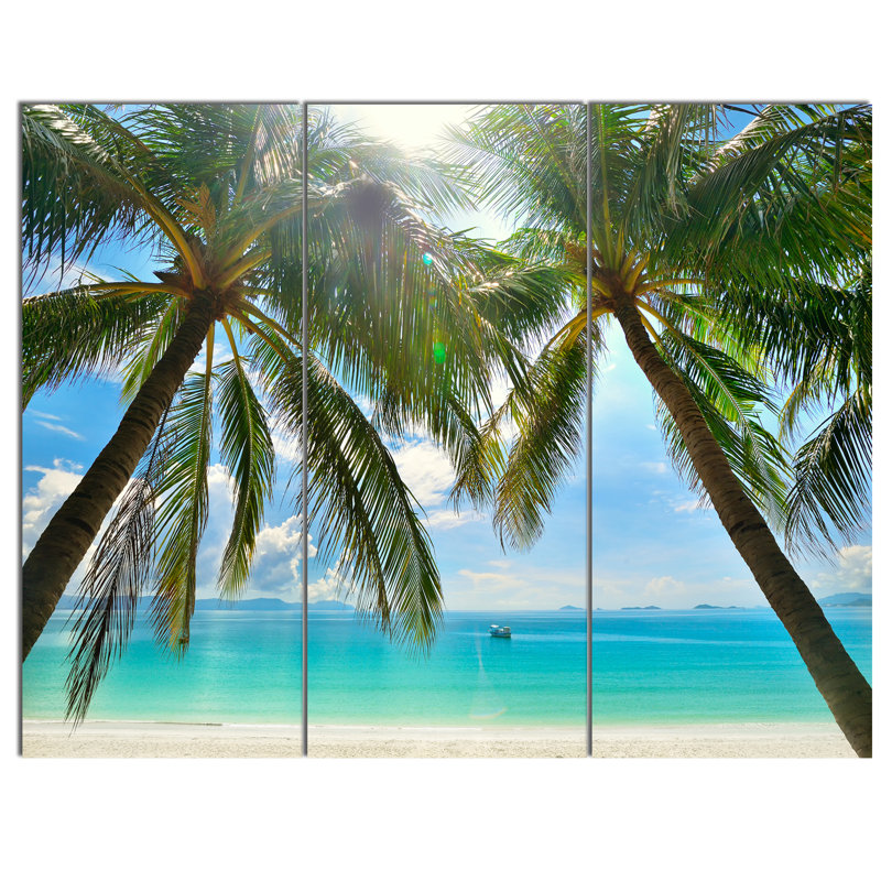 Palm Hanging Over Sandy Beach Coastal Canvas Print
