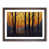 Walnut Framed