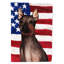Polyester à 2 côtés 28 x 40 po drapeau maison-1879434084