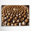 Dessert, graines de tournesol, art mural sur toile brune-400937133