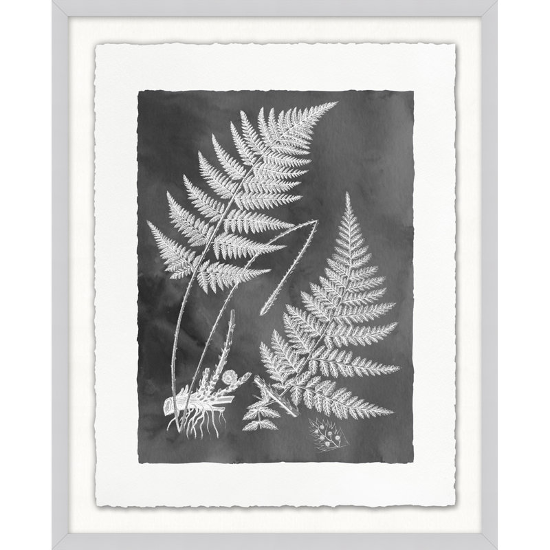 Fernspiration Gray 4' Framed Graphic Art Print on Glass