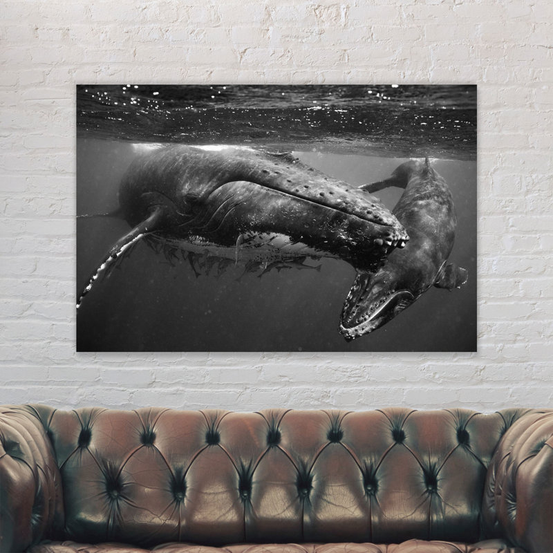 Humpback Whales - Wrapped Canvas Print, 61cm H x 81cm W x 4cm D