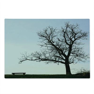 Ambesonne Winter Cutting Board Large Size Wooden Bench Evening Blue Brown
