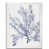 Toile blanche encadrée