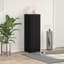6 Pair Shoe Storage Cabinet