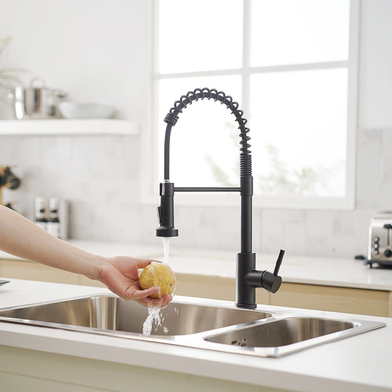 GAWEZA Kitchen Faucet, Black