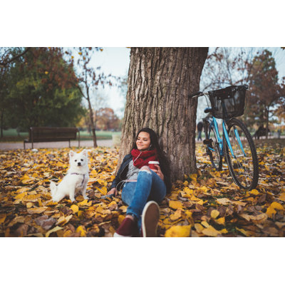 Girl with dog in the park Wall Art on Canvas
