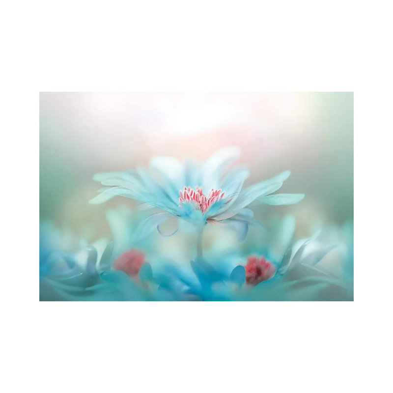 Fantasy by Jacky Parker - Print on Canvas, 66.04cm H x 101.6cm W x 3.81cm D, Wrapped Canvas
