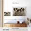 Brampt What A Cute Bundle-108135389