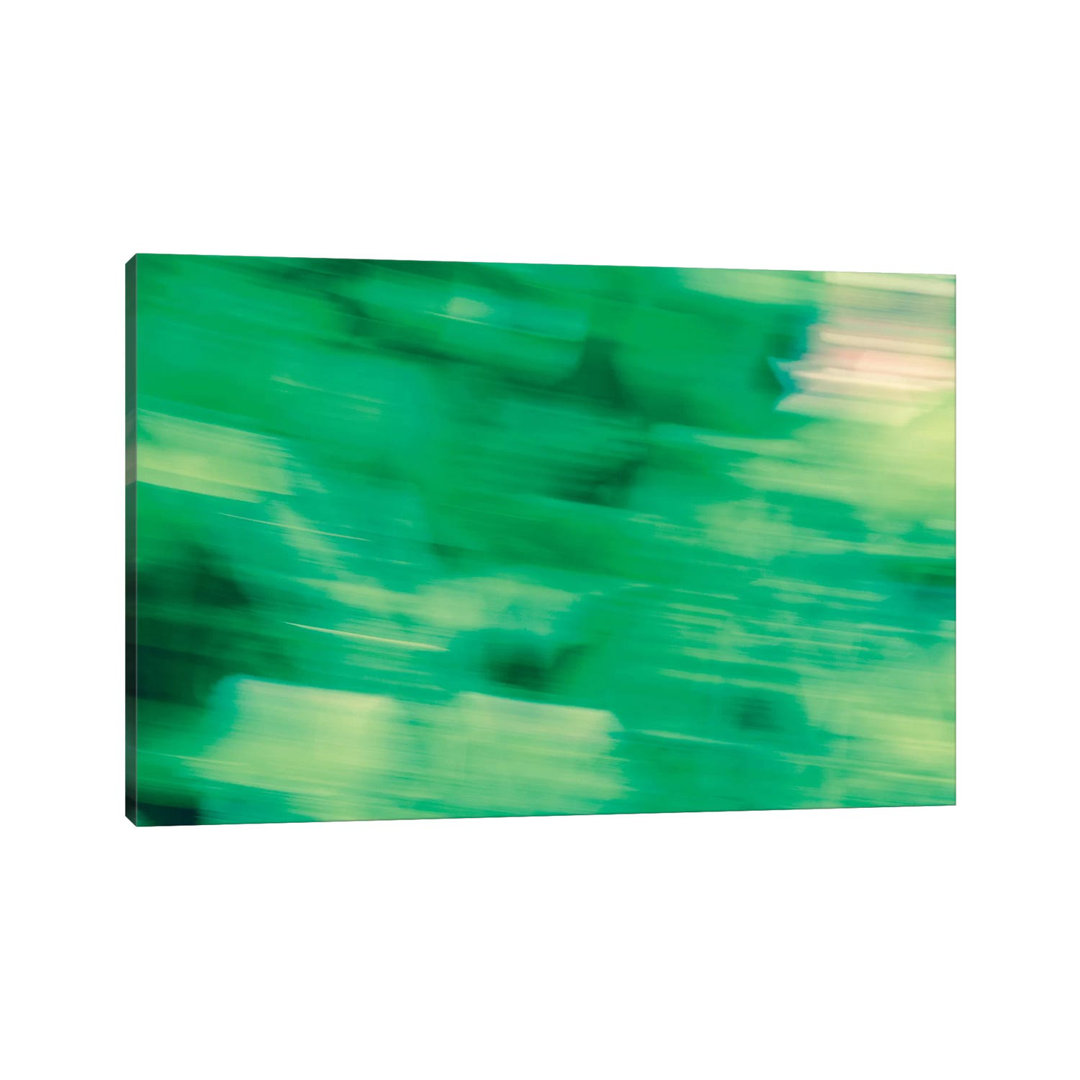 Flora Motion von Savanah Plank - Gallery-Wrapped Canvas Giclée on Canvas