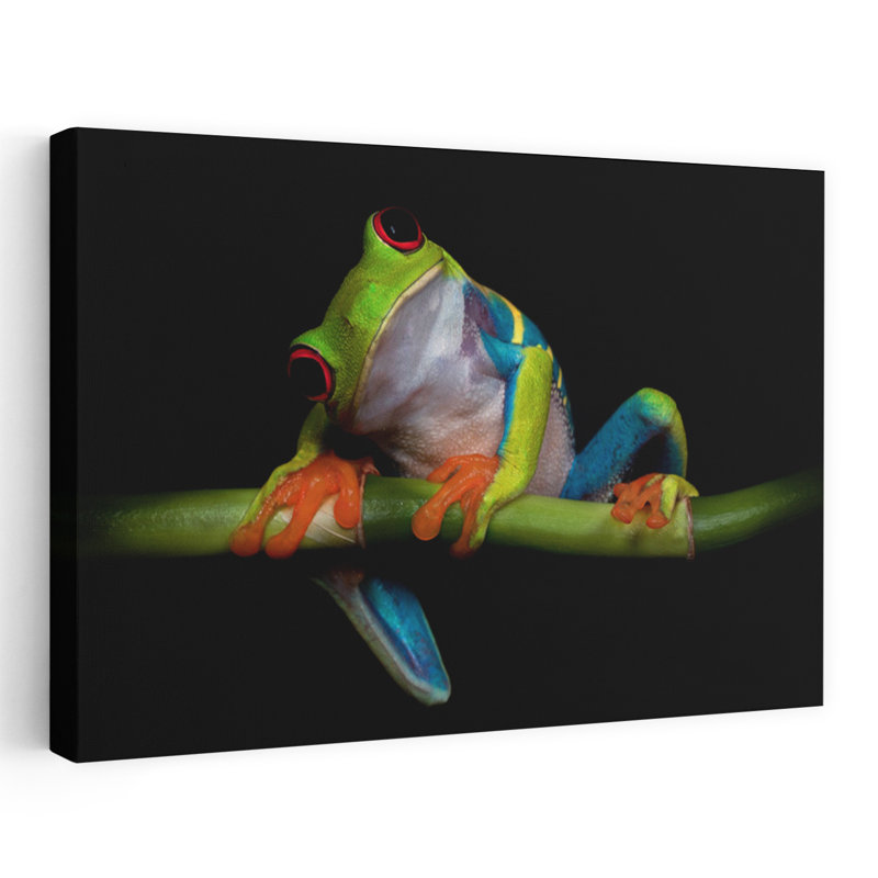 Art contemporain, portrait de grenouille de bambou, H 24 po x l 36 po