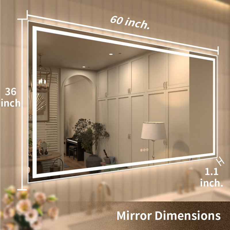 Miroir de salle de bain Ridlee, 30 po x 72 po