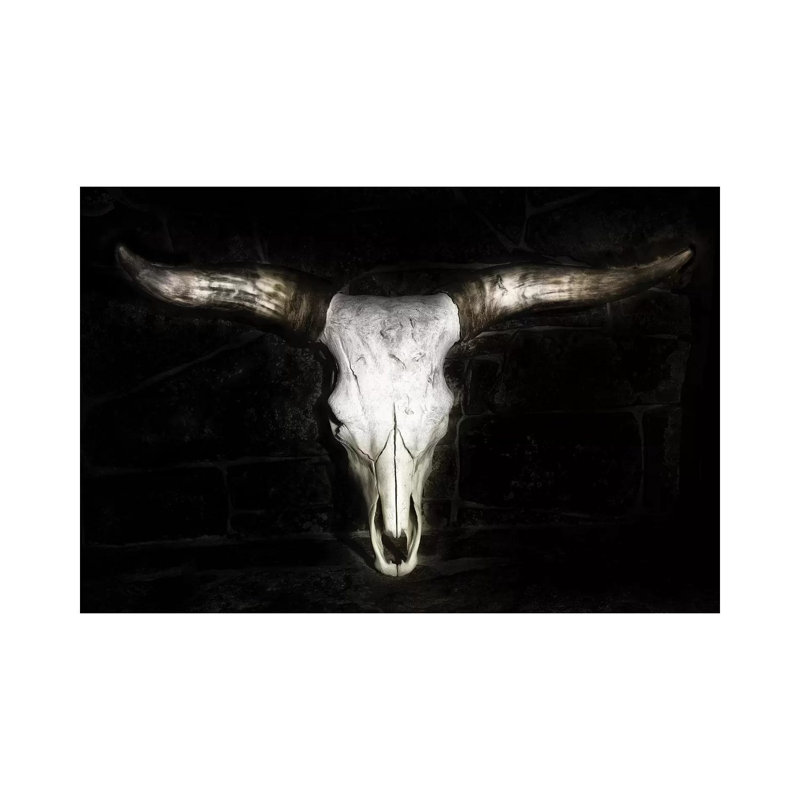 Cow Skull by PHBurchett - Wrapped Canvas Print, 152.5 cm H x 101.5 cm W