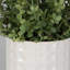 Ensemble de 2 plantes vertes en pot