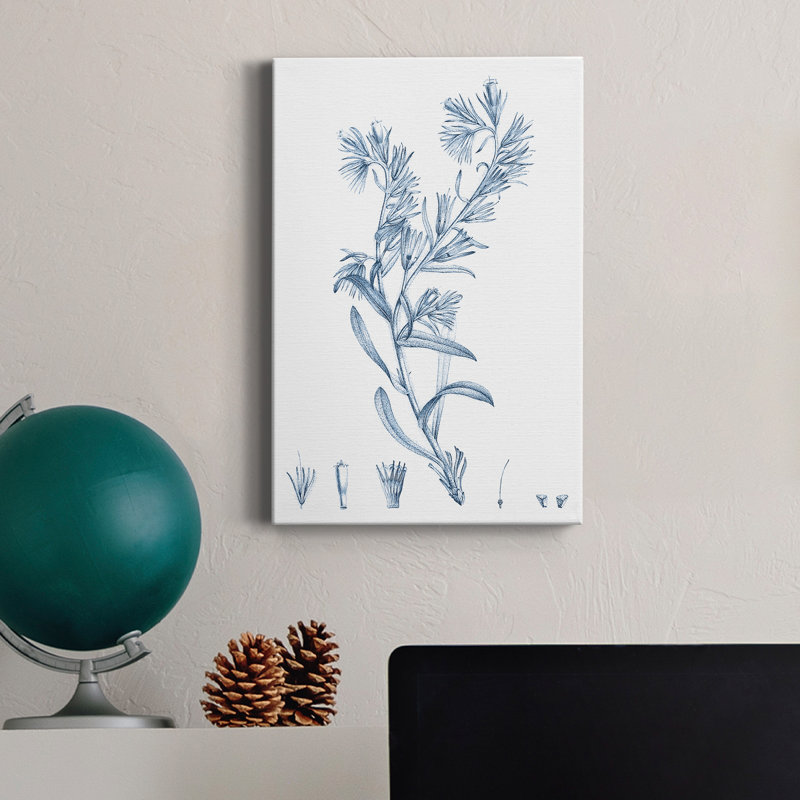 Antique botanique en bleu II - impression, H 27 po x l 18 po x P 1 po