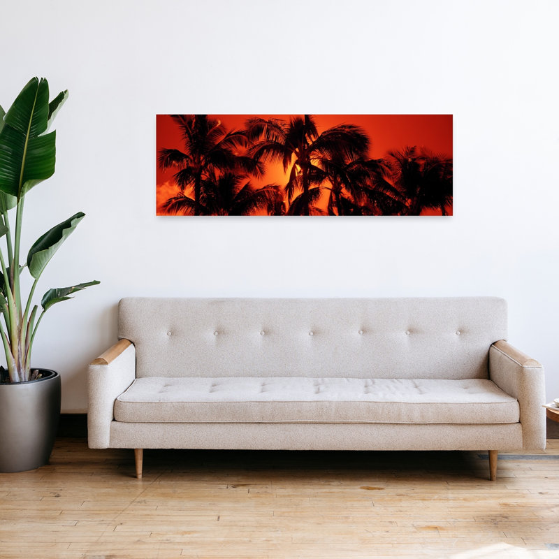 Faible angle de vue de palmiers au crépuscule, plage de Kalapaki, Kauai, Hawaï, États-Unis, H 48 po x l 16 po