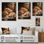 Nourriture, pains rustiques II sur bois-2060631911