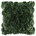 Dark Green - Velvet