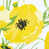 YELLOW is out of stock selected