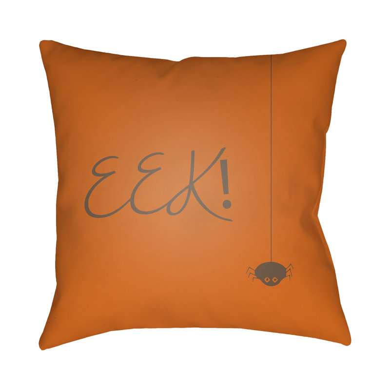  Indoor/Outdoor Throw Pillow, 18" H x 18" W x 4" D, Orange