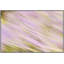 Intimation Of Hue 1 Print-2059408696