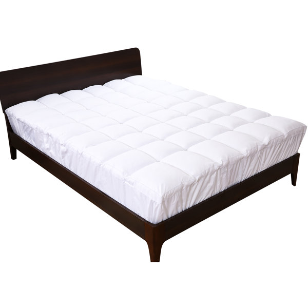 https://assets.wfcdn.com/im/16497351/resize-h600-w600%5Ecompr-r85/2454/245421141/Aceituno+2%27%27+Down+Alternative+Mattress+Topper.jpg