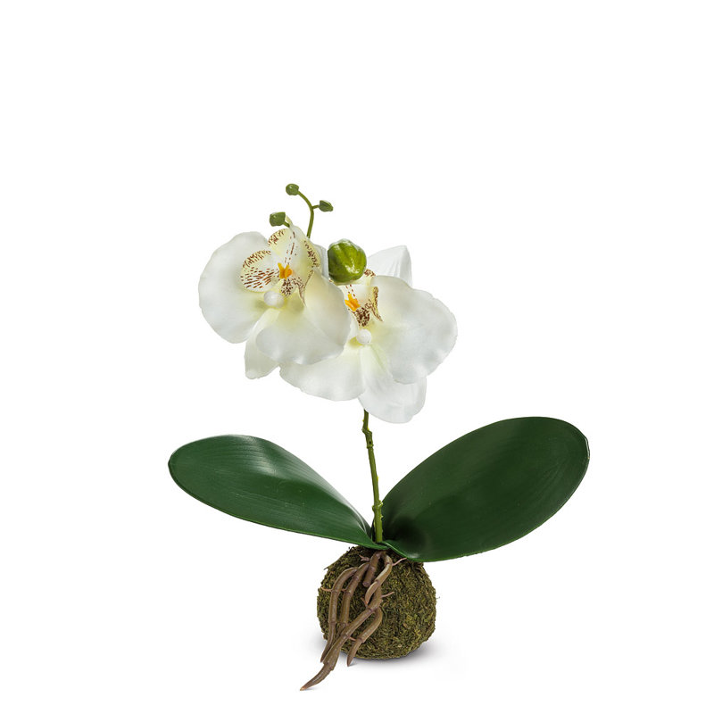 Orchidée avec boule de gazon fleur artificielle, Blanc